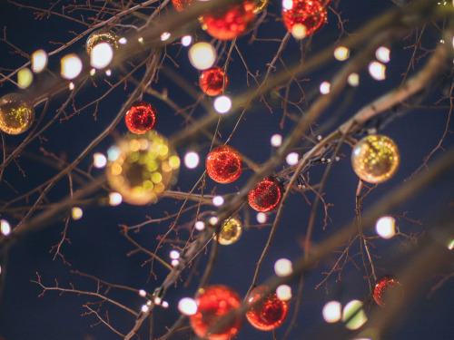 Boules de Noël rouges et dorées accrochées sur des branches