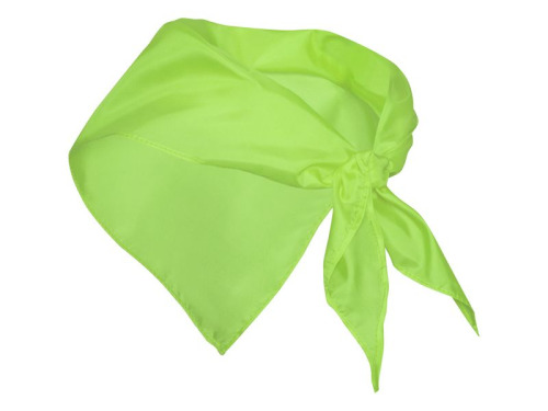 Bandana festero vert