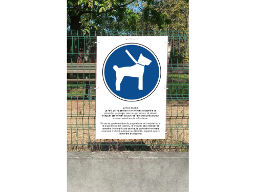 Carton pour l'extérieur autorisation aux chiens