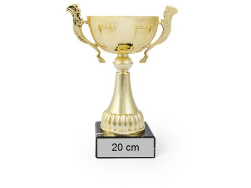Coupe en métal dorée de hauteur 20 cm